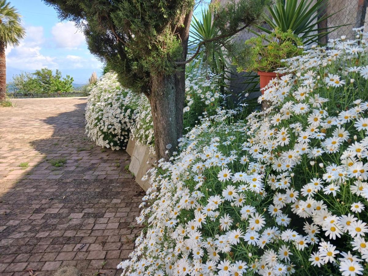 Agriturismo Vemi Santa Sofia d'Epiro Exterior photo