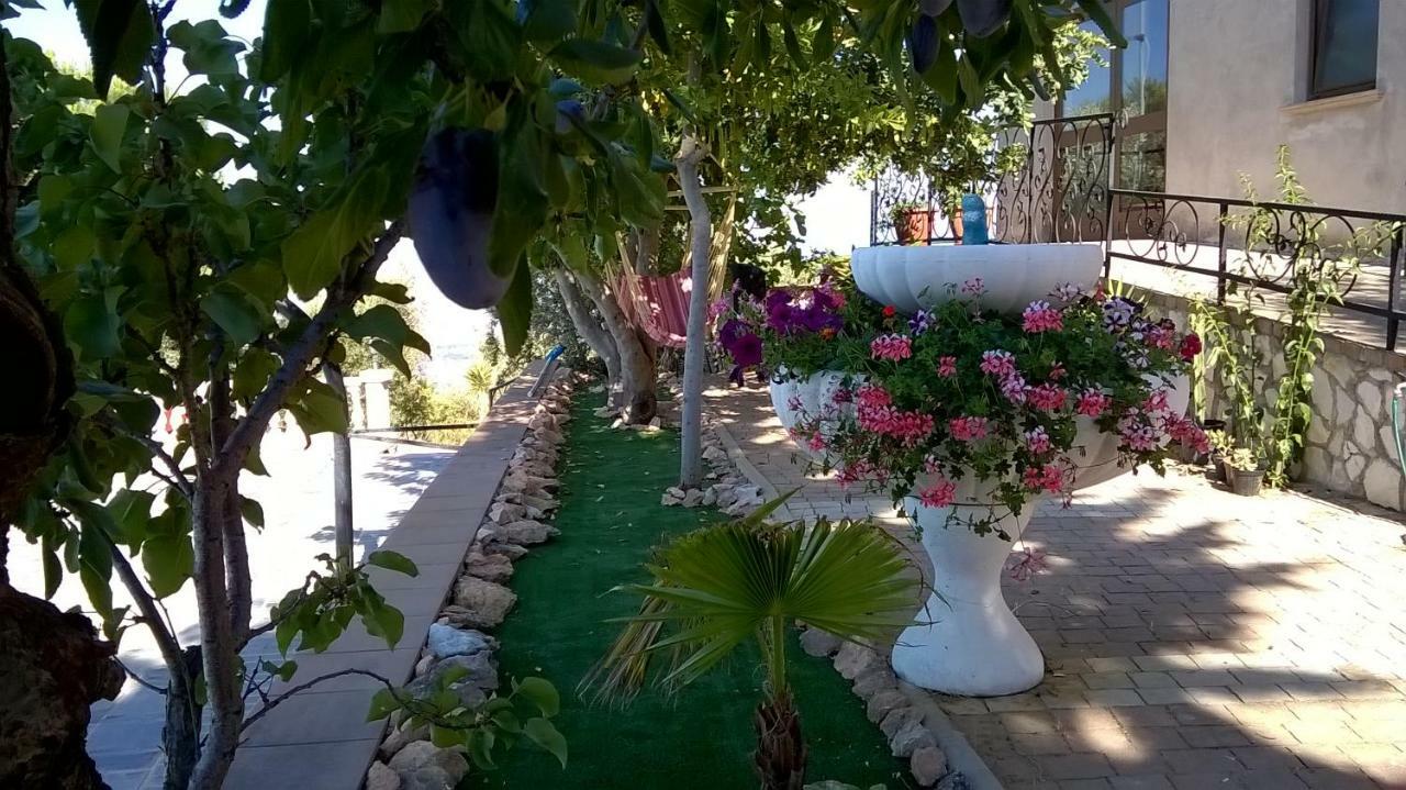 Agriturismo Vemi Santa Sofia d'Epiro Exterior photo